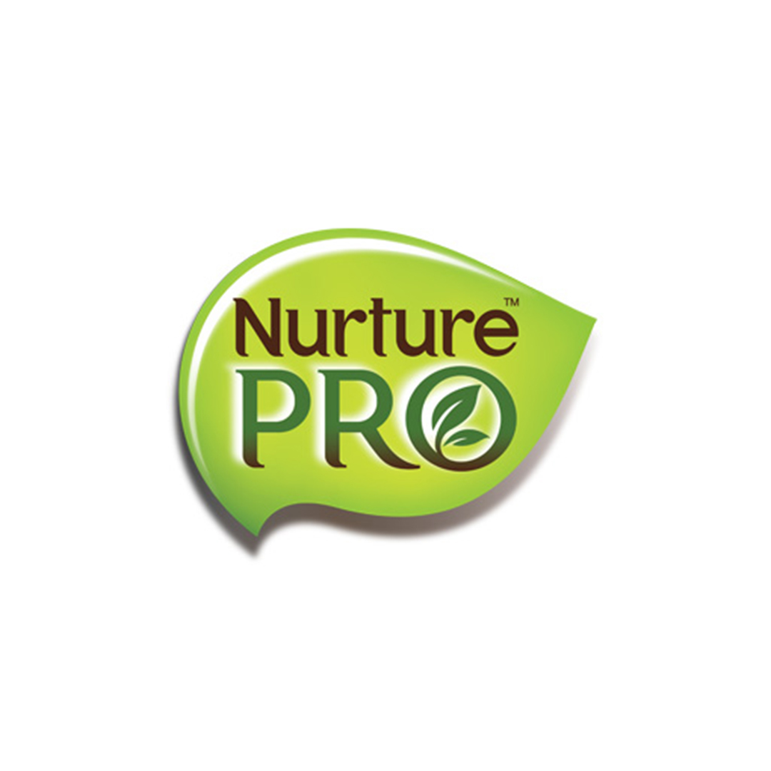 NPro Logo