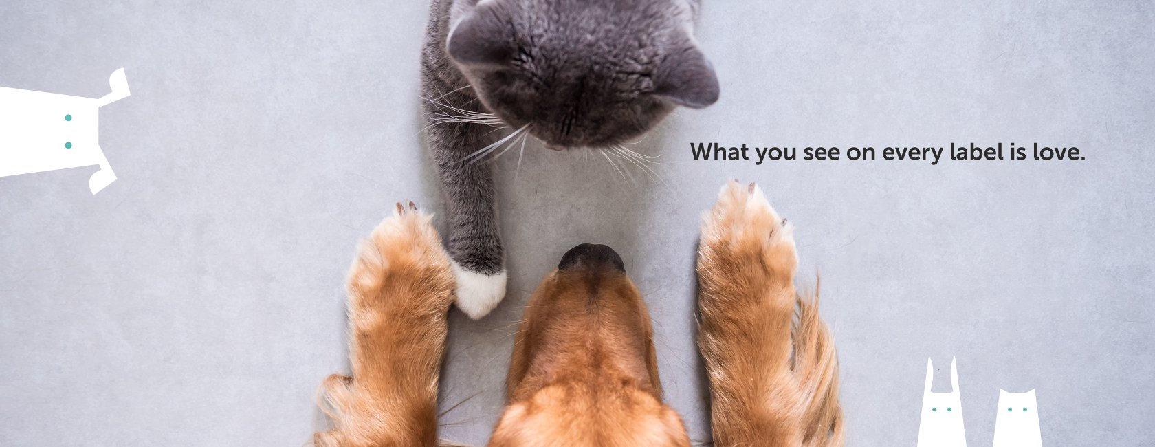 An Image of a Dog and a Cat Playing Together